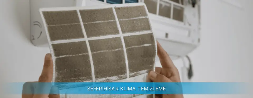 Seferihisar İlçemi Gree Klima Temizleme